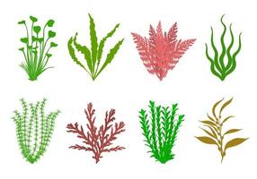 schattig aquarium planten set. vector illustratie