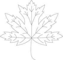 Acer saccharum esdoorn- blad vector icoon zwart en wit
