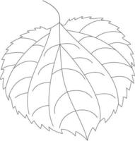 tilia cordata linde blad vector icoon zwart en wit