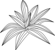 meerjarig kruidachtig rhoeo blad vector icoon zwart en wit