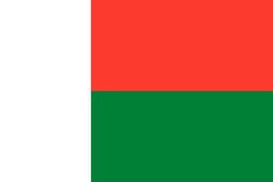 Madagascar vector vlag. afrikaans land nationaal symbool