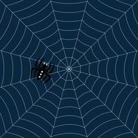 halloween spin web vector illustratie