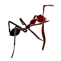 rood mier vector of reeks mier, kan worden gebruikt voor logos of andere illustraties.