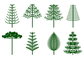 Gratis Araucaria Vector