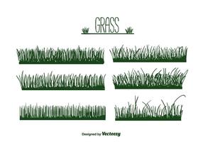 Gras Vector