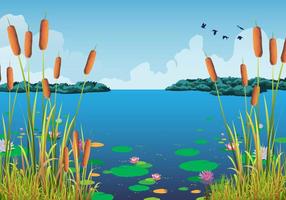 Cattails Vector En Waterlelies Bij Het Mooie Meer