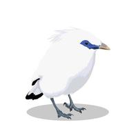 Bali mynah vogel vector