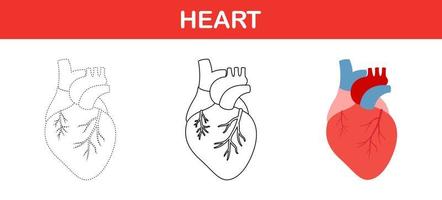 menselijk hart traceren en kleur werkblad voor kinderen vector