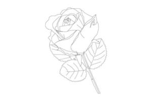 vector illustratie, kdp kleur bladzijde, vector schets bloemen. lijn kunst kleur bladzijde met rozen en bladeren