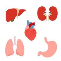set van menselijke interne organen vector