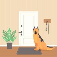 een Duitse herder hond is aan het wachten voor een wandelen. de hond is zittend in de gang door de deur. vector huisdier illustratie.