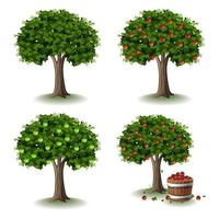 appel boom illustratie collecties reeks vector