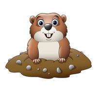 cartoon grappige marmot vector