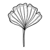 ginkgo biloba artbo reeks vector