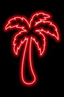 rood neon schets van palm boom Aan een zwart achtergrond. rust uit, reis, vakantie. icoon illustratie vector