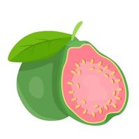 een mooi guava van kunst vector