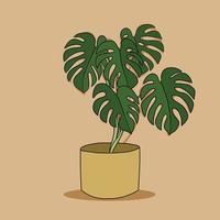 eenvoud monstera plant uit de vrije hand tekenen plat ontwerp. vector