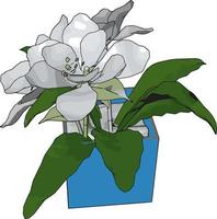 wit bloemen in een pot, illustratie, vector Aan wit achtergrond.