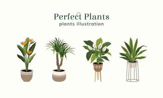 perfect planten illustratie vector