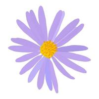 Purper aster bloem icoon geïsoleerd Aan wit achtergrond. gouache sticker van bloem met geel centrum vector