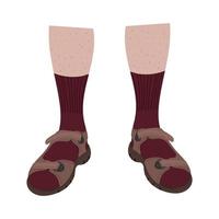 sandalen en sokken geïsoleerd Aan wit achtergrond vector