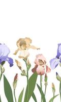 naadloos achtergrond met blauw, geel en Purper iris bloemen Aan wit vector