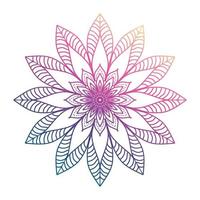 helling kleur mandala, mandala ontwerp achtergrond, mandala ontwerp, mandala, patroon kleur boek kunst behang ontwerp, tegel patroon, groet kaart, reeks mandala ontwerp, zwart, mandala ontwerp vector