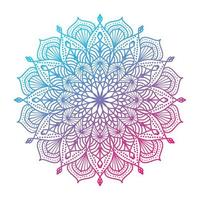 helling kleur mandala, mandala ontwerp achtergrond, mandala ontwerp, mandala, patroon kleur boek kunst behang ontwerp, tegel patroon, groet kaart, reeks mandala ontwerp, zwart, mandala ontwerp vector