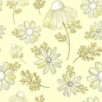 wijnoogst bloemen patroon. wilde bloemen patroon. oud texura. beige achtergrond, wit bloemen. Adonis, echinacea kamille vector illustratie