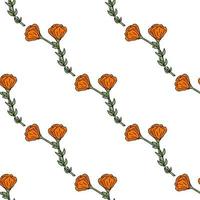 naadloos patroon met mooi oranje bloemen Aan wit achtergrond. vector afbeelding.