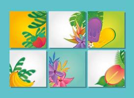 sjablonen set zomer met bloemen en fruit vector