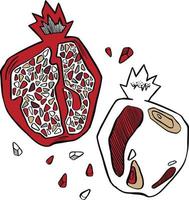 vers helder exotisch geheel en voor de helft granaatappel met bladeren geïsoleerd Aan wit achtergrond. vector