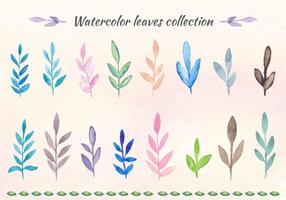 Gratis Vector Waterverf Bladeren Collectie