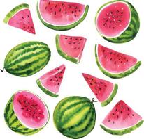 waterverf watermeloen fruit vector