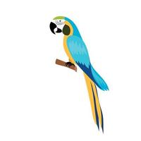 blauw en geel ara zittend Aan de Afdeling in voorkant. Brazilië papegaai. vogel voor carnaval. papegaai vogel net zo vriend piraten. vector illustratie