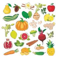 een reeks van producten vegetarisme, gezond aan het eten. fruit, groenten, noten en groenen. tekenfilm vlak vector illustratie geïsoleerd Aan een wit achtergrond.