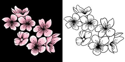 sakura bloem vector illustratie in gedetailleerd stijl