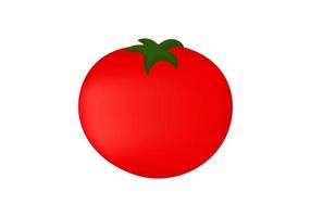 illustratie van tomaat met maas techniek vector
