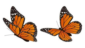 de monarch vlinder vector illustratie
