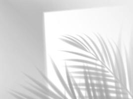 palm bladeren schaduw achtergrond overlay, blad schaduw vector
