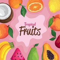 tropisch fruit belettering vector