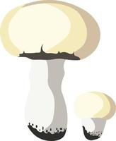 herfst champignons geïsoleerd vector illustratie Aan wit achtergrond