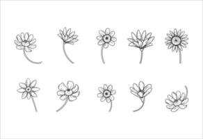 verzameling van tekening bloem illustraties Aan een wit achtergrond vector