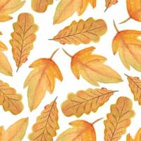 aquarel herfst herfstblad naadloze patroon vector