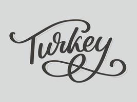 Turkije belettering. handgeschreven naam van het land. vectorontwerpsjabloon. vector