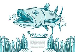 Gratis Barracuda Fish vector