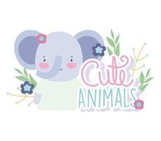 kleine schattige olifant met bloemen en letters vector