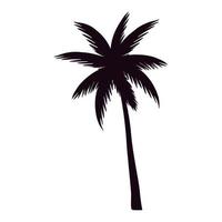 tropische boom palm silhouet vector