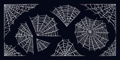 spinnenweb geïsoleerd Aan zwart achtergrond. spookachtig halloween spinnenwebben voor kaders en spandoeken. vector illustratie
