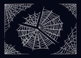 spinnenweb reeks geïsoleerd Aan zwart achtergrond. spookachtig halloween spinnenwebben voor kaders en spandoeken. vector illustratie